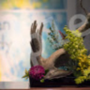 Meet your Posher, Janiece